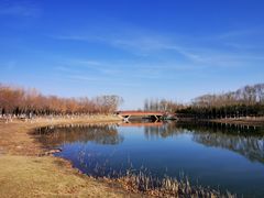 -大兴滨河森林公园