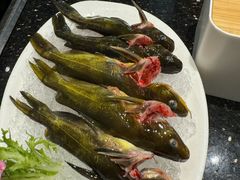 -王家渡火锅(三苏祠店)
