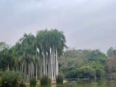 -中国科学院西双版纳热带植物园