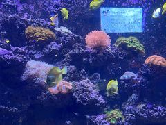-海合安天津极地海洋公园