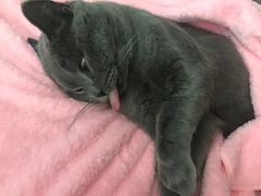 -美美宠物诊疗中心·异宠·骨科(滨江东信分院)
