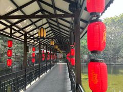 -侨美·唐荔园·40年地道粤菜