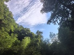 -石台牯牛降景区