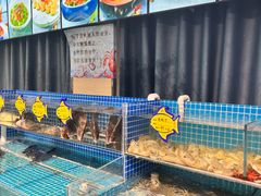 -韩记海鲜饺子旗舰店(红海新区店)