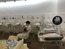 -海豚湾高端月子会所(黄浦店)