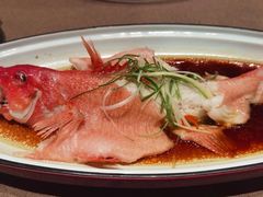 -羲和雅苑•北京烤鸭(陆家嘴中心店)