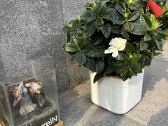 -清橙健身(学院路店)