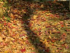 android_upload_pic-杭州天目山静雅居农家乐