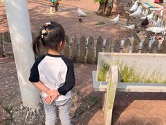 -白沙门生态公园