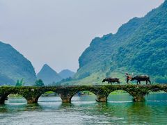 -靖西鹅泉风景区