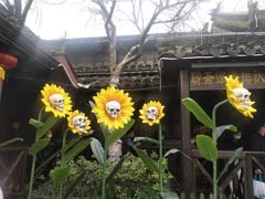 -杭州宋城