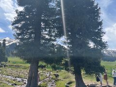-新疆那拉提国家旅游度假区