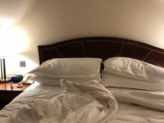 -成都天府丽都喜来登饭店