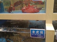 -双井轩(双井店)