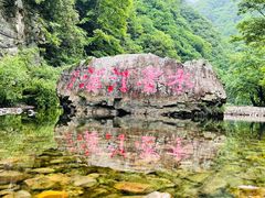 -水墨汀溪风景区