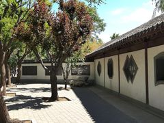 -团结湖公园