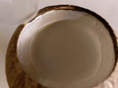 -椰爺爺·椰子冻砵仔糕