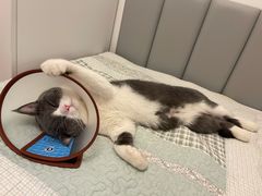 -宠颐生动物医院·心脏科·保险定点(锦阳分院)