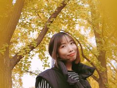 -三里屯东五街银杏大道