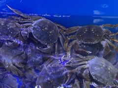 -祥鹤龙虾螃蟹