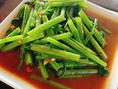 -Green Tree Rest. & Pub