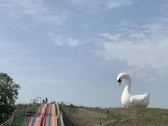 -大千天鹅湖庄园