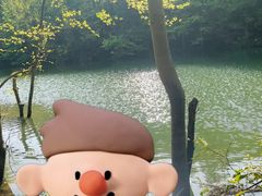 -青龙山国家森林公园