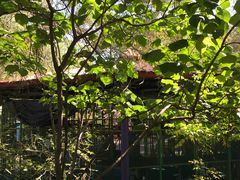 -哈尔滨文化公园