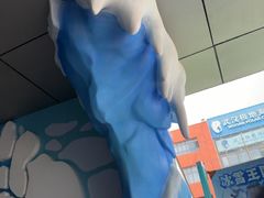-海合安武汉极地海洋公园