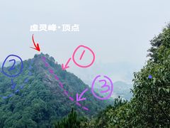 -南山植物园