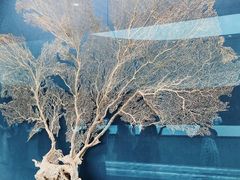 -中国湿地博物馆