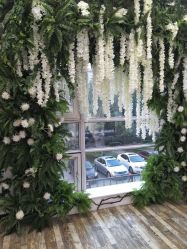 -星豆豆儿童摄影(南郊太白南路店)