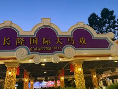 -广州长隆国际大马戏