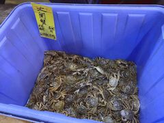 -小北江河鲜(旧城店)