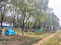 -永定河休闲森林公园