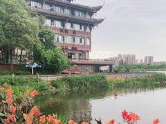 -眉山湿地公园(东坡区)