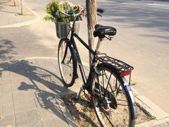 iphone_upload_pic-草场地艺术区