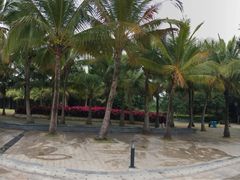 -宝安西湾红树林湿地公园