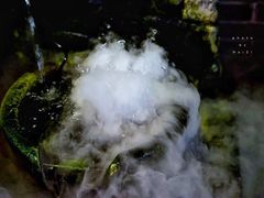 -农厨好味·温泉鹅·农家菜