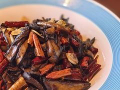 景东黑牛肝菌-熙楼(翠湖店)