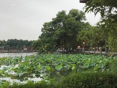 -湖畔居茶楼(湖滨店)