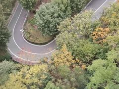 -飞凤山奥体公园