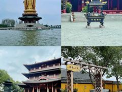 -溱湖国家湿地公园