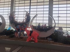 -郑州新郑国际机场