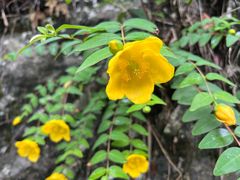 -高荡千年布依古寨旅游景区