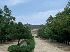 -府君山公园