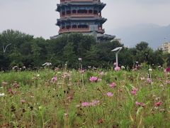 -门城湖公园