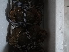 -喜洋洋蟹庄(阳澄湖店)