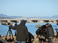 -绿堤公园