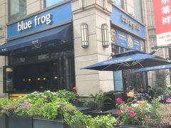 -blue frog蓝蛙(长泰广场店)